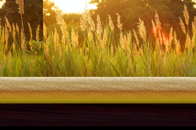 Oud en nieuw samen thuis vieren tips voor activiteiten en diner